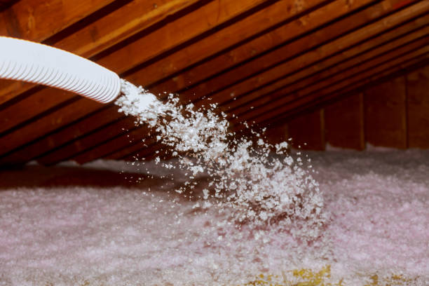 Best Fiberglass Insulation  in Brentwood, TN