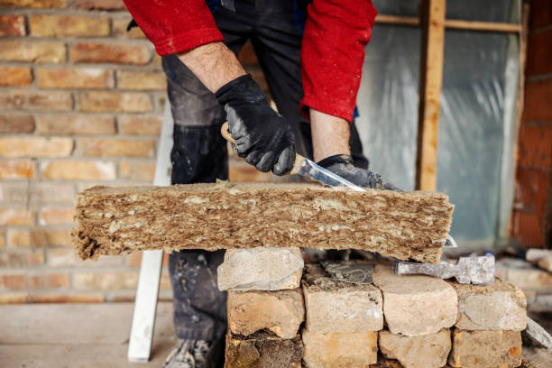 Best Local Insulation Services  in Brentwood, TN