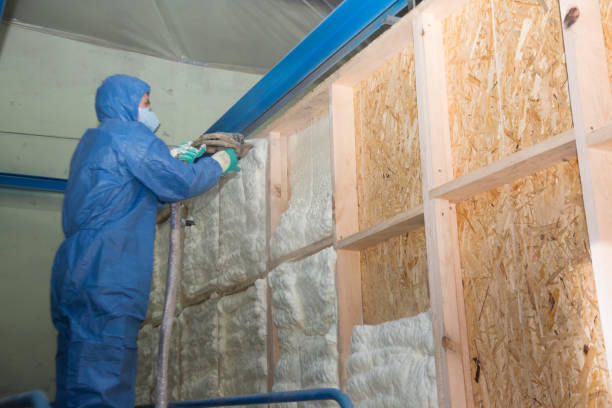 Best Insulation Removal  in Brentwood, TN