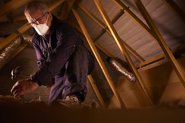 Best Professional Insulation Contractor  in Brentwood, TN